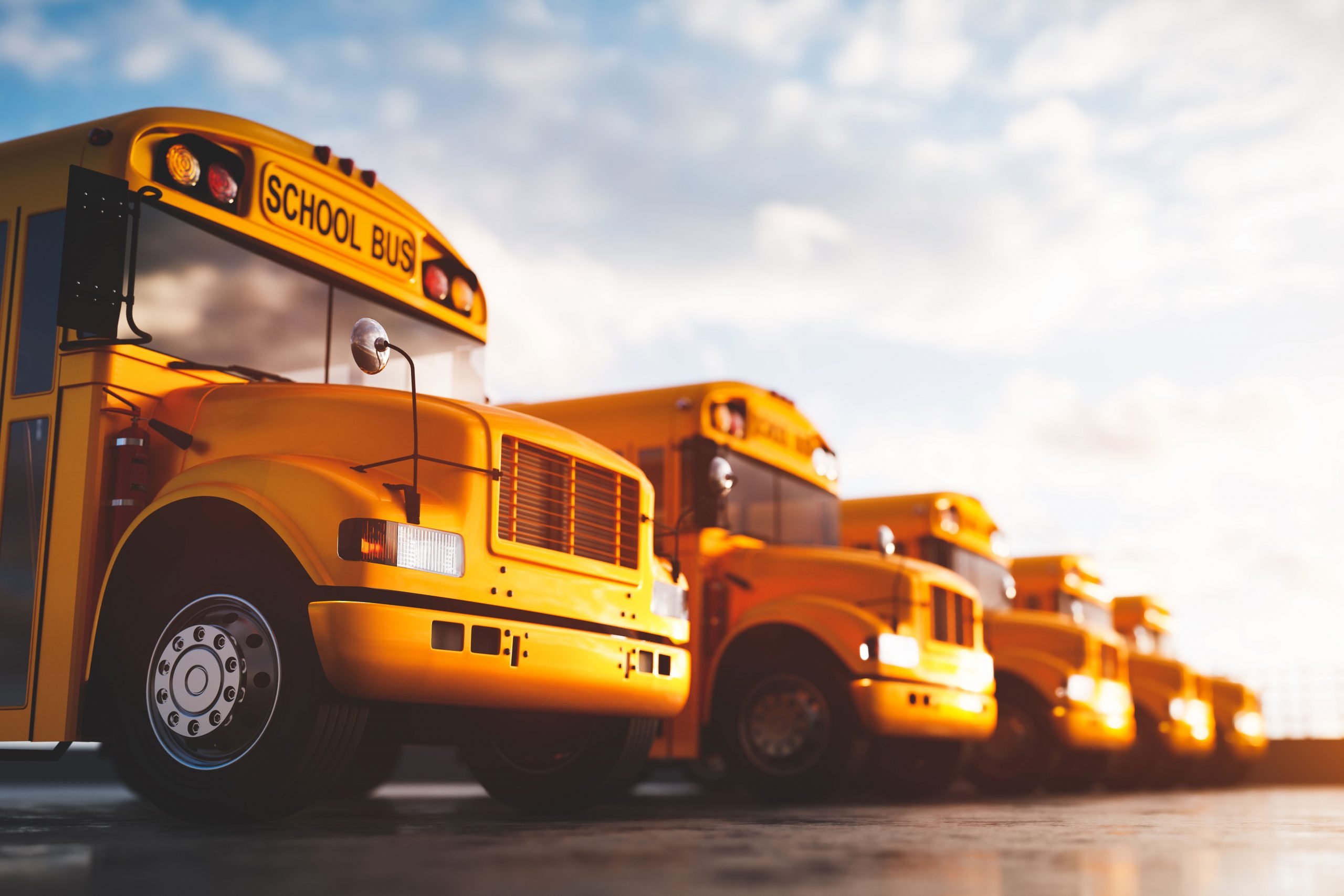 schoolbuses